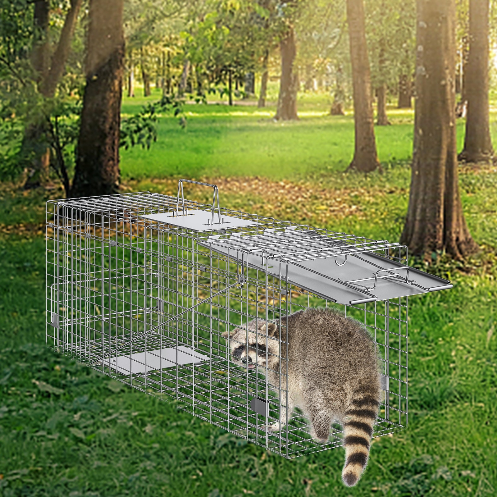 Humane Cat Trap Galvanized Iron Folding Cage For Stray Animals_voghion.com